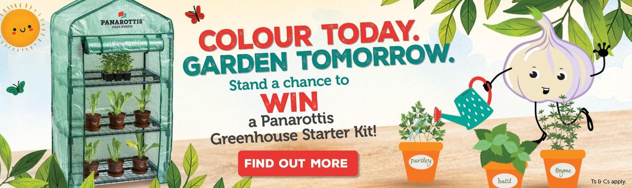 Promo Banner